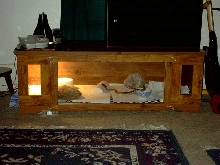Nibblers house
