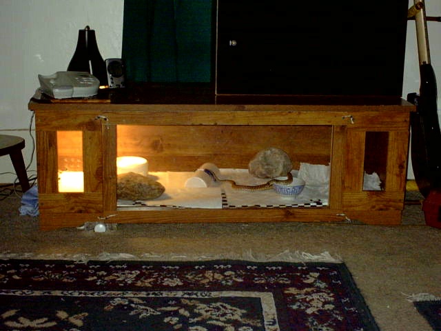 Nibblers house