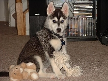 Kayla at 7 weeks