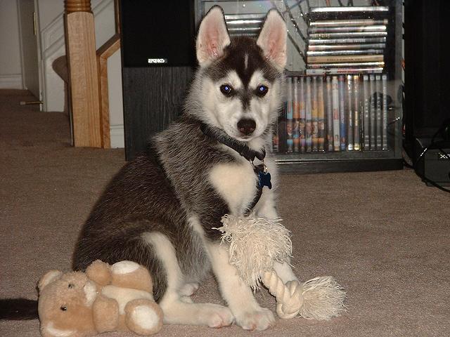 Kayla at 7 weeks