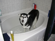 Kayla 9 Months in Bath