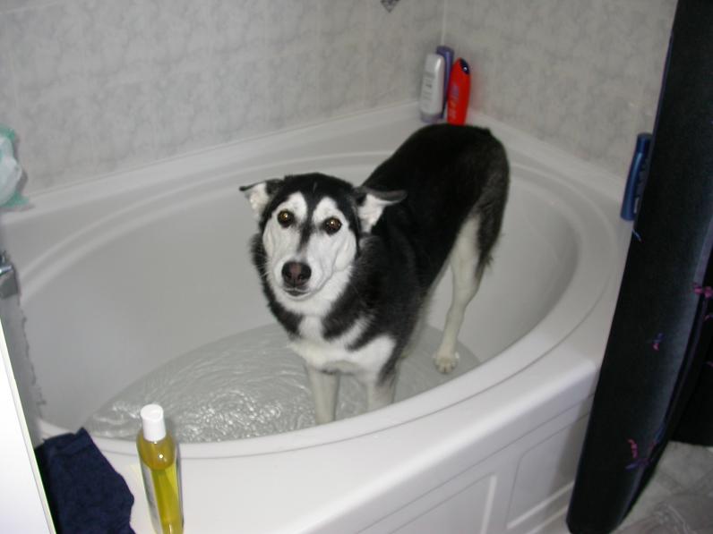 Kayla 9 Months in Bath