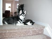 Kayla and Kyra