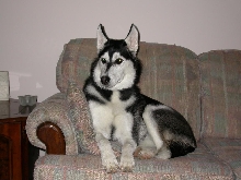 Kayla at 7 Months