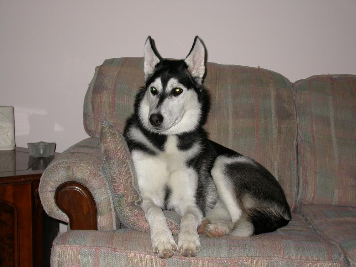 Kayla at 7 Months