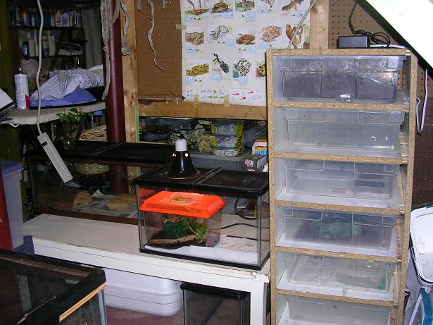 herp room