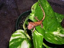 another one of the new guy