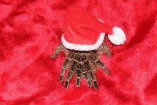 Santa Tarantula