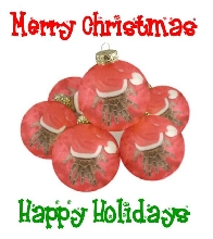 Merry Christmas - Tarantula Style