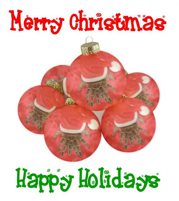 Merry Christmas - Tarantula Style