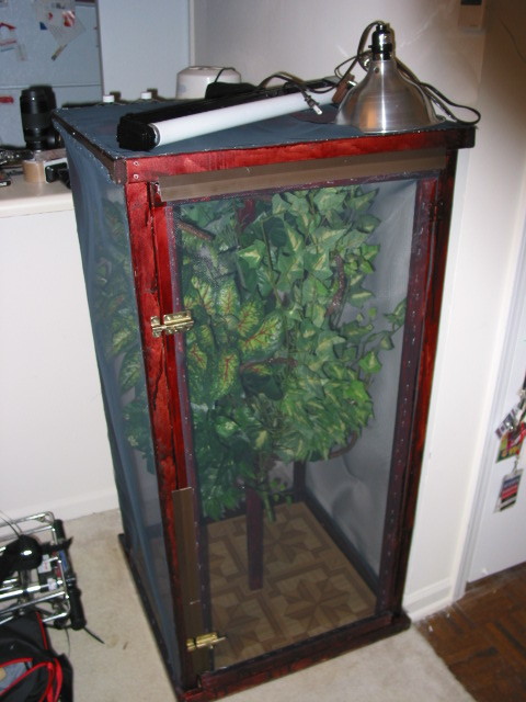 New Chameleon Set up