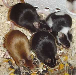 group pic