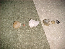 rocks