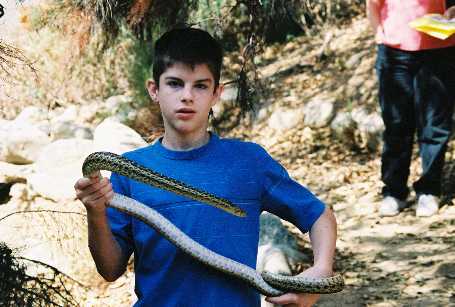 me with gopher snake
