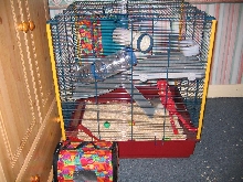 New Cage for two babies