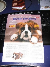 Steiff Boxer