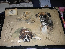 Boxer Print