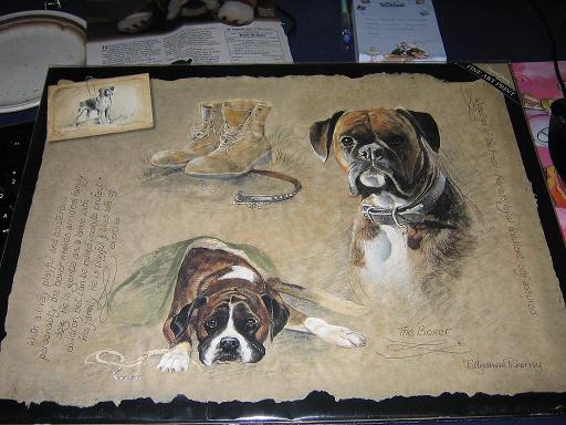 Boxer Print