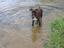 look mummy Im in the water
