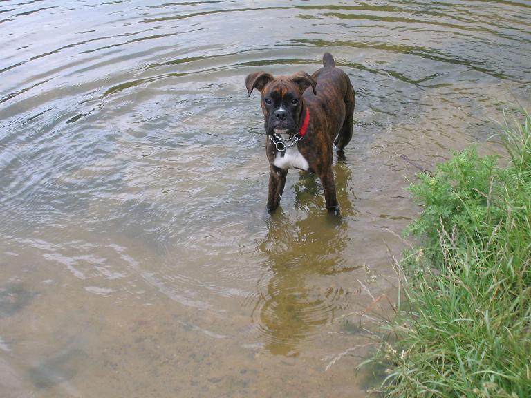 look mummy Im in the water