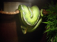 another '03 male