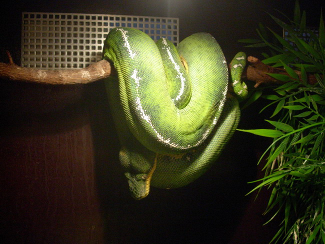 another '03 male