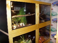 cages