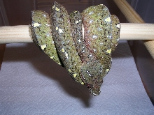 chondro