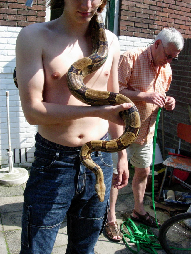 my male