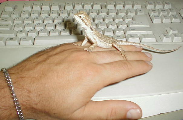Rex as a baby