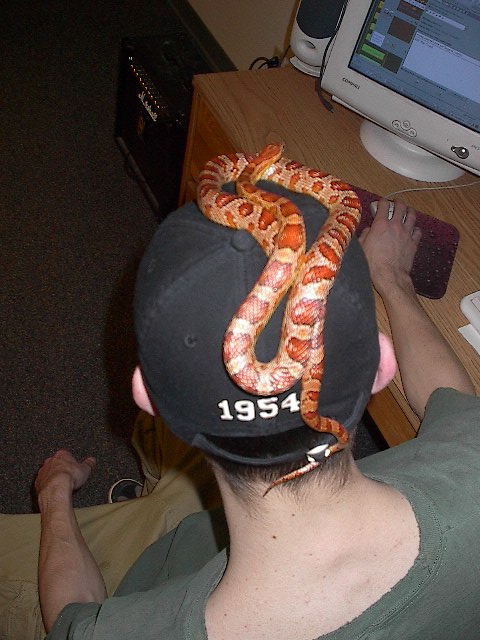 Watching the computer