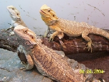 group photo1