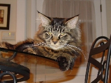 test pic
