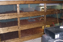 my cages