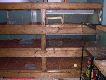 another photo