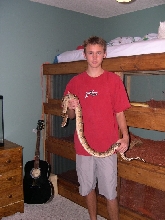 my columbian red tailed boa
