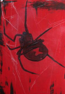 The Widow