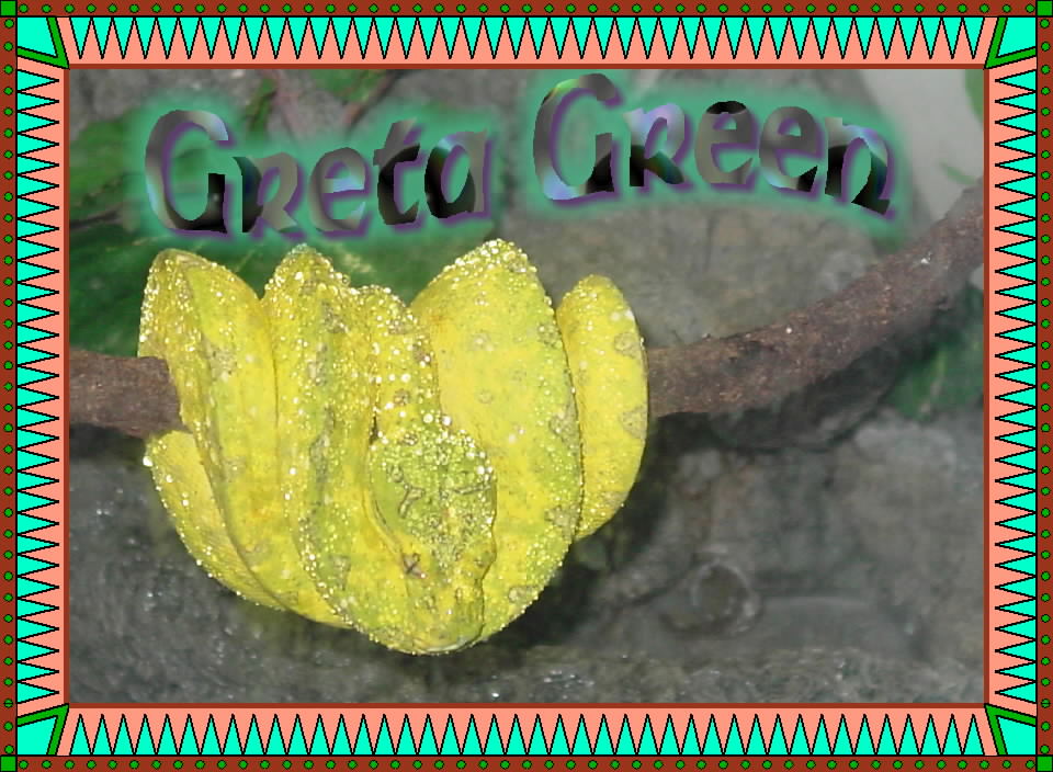 Greta Green