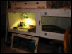 Tegu Cage