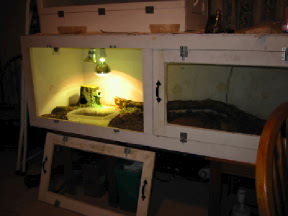 Tegu Cage