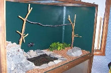 Ball Python Cage 2