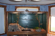 Ball Python Cage