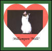 Milli
