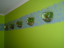 Wall mounted fish bowls