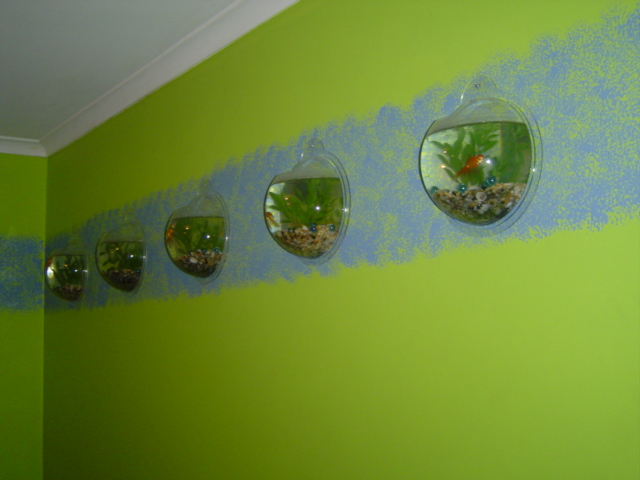 Wall mounted fish bowls