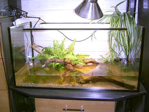 Paludarium