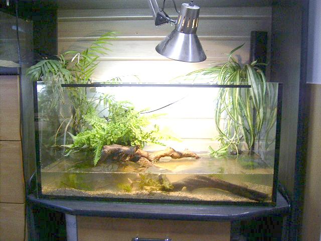 Paludarium2