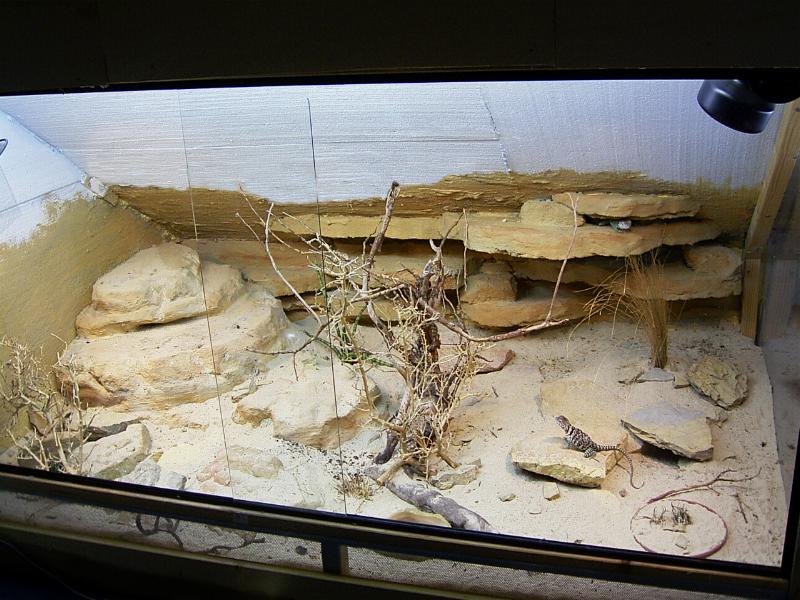 terrarium