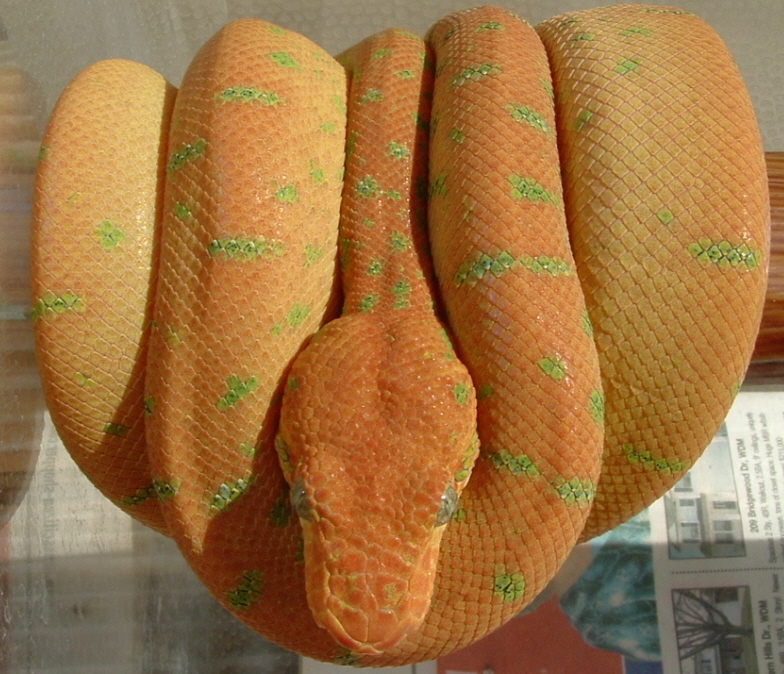 Patternless Emerald Changing Over