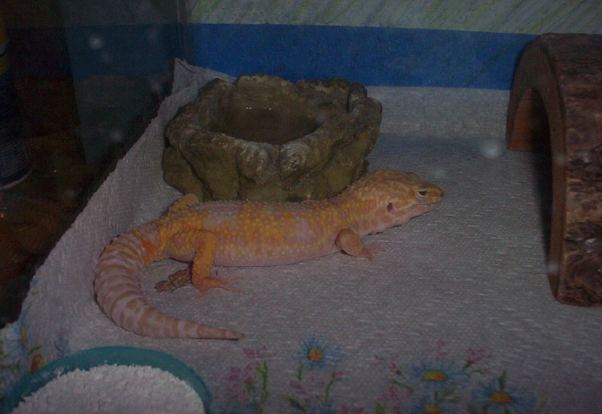 Raine chilling out